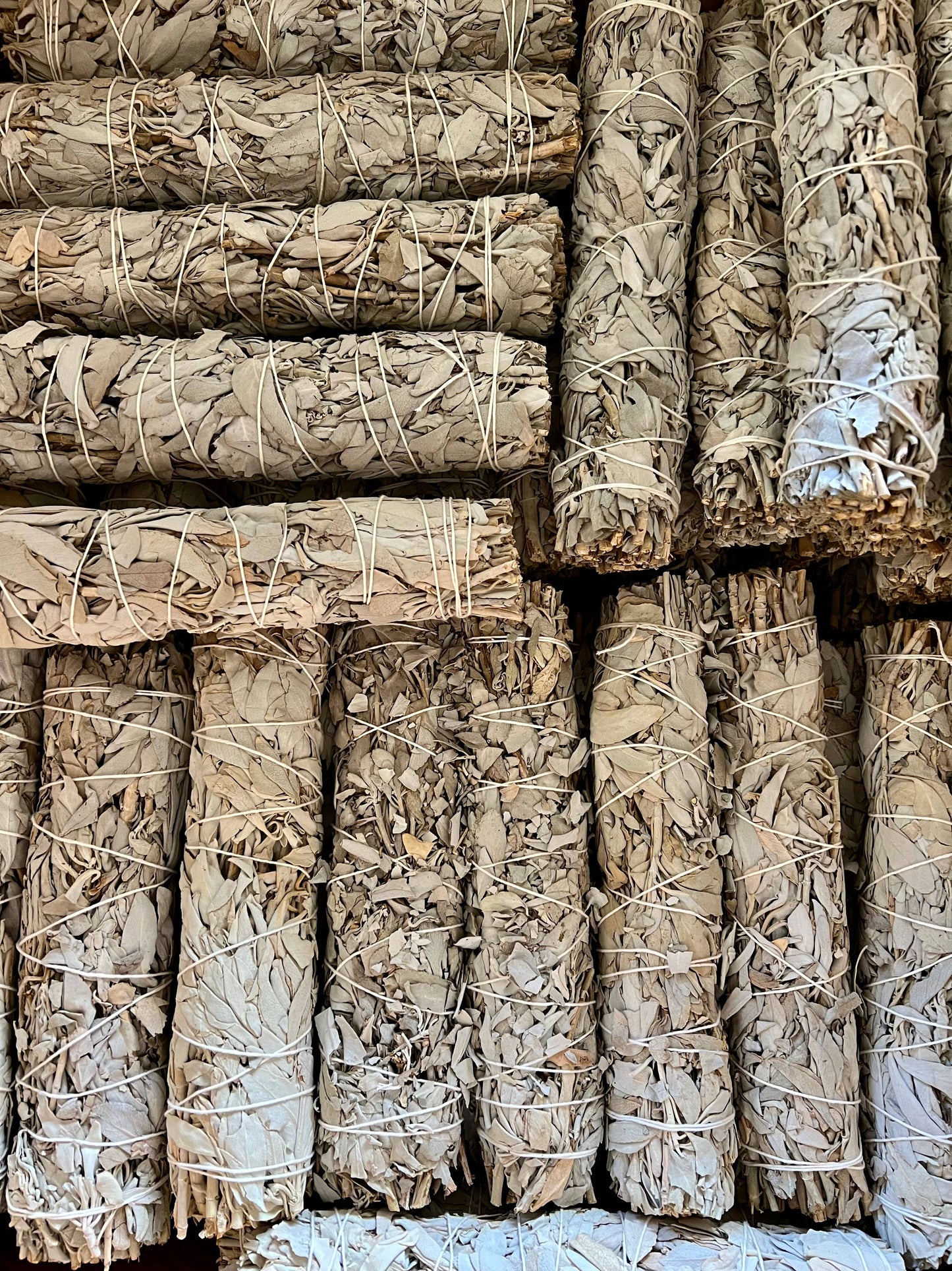 9” California White Sage Bundles – Hand-Harvested & Sun-Dried