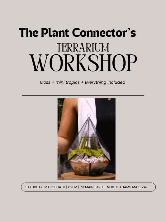 Moss & Mini Tropics Terrarium Workshop