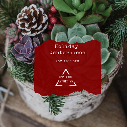 Holiday Centerpiece Workshop