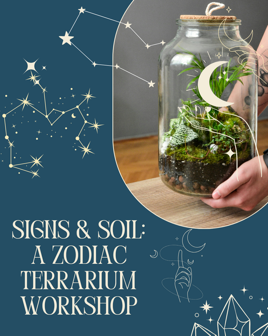 Signs & Soil: A Zodiac Terrarium Workshop