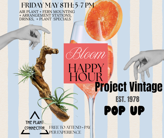 Bloom Happy Hour: Mounting Bar + Vintage Plant Pop-Up