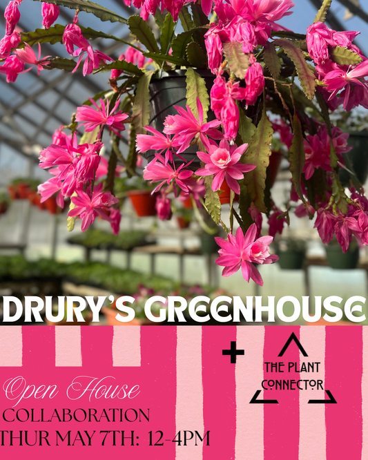Greenhouse Open House: A Collaboration with Drury High School