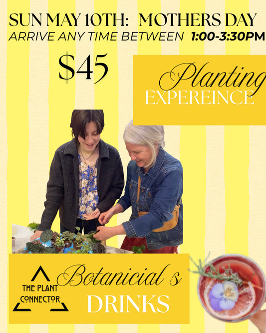 Mothers day: A Botanical Plant Bar Experience