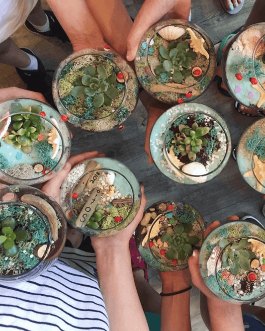 Terrarium Experience!