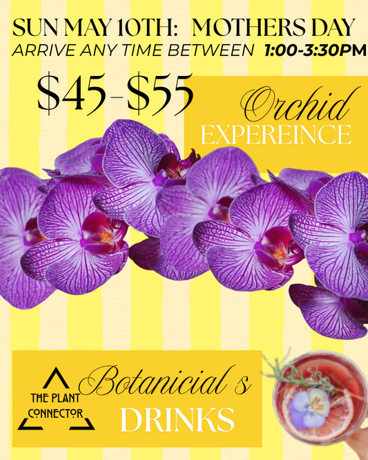 Mother’s Day Orchid Experience: Rooted in Love