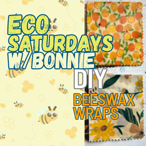 Eco Saturday with Bonnie – DIY Beeswax Wrapz