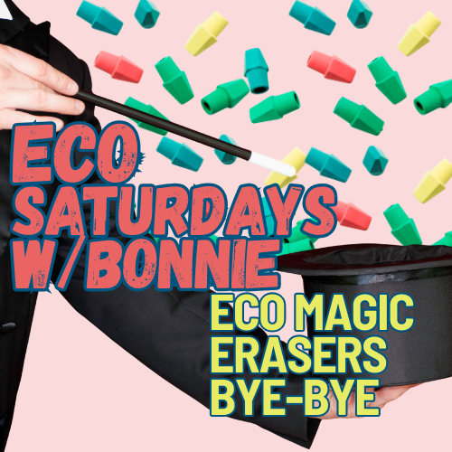 Eco Saturday's With Bonnie: Magic Eraser Alternative