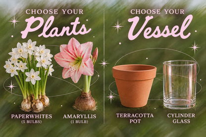 Holiday Bulb Bar: Plant a Little Holiday Magic!
