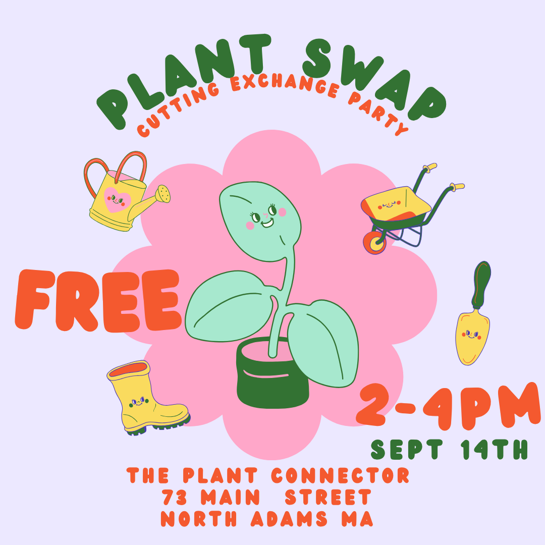 Plant Connectors Birthday Bash
