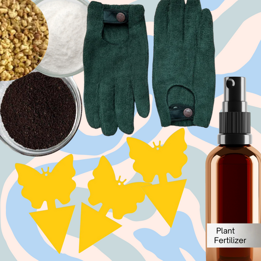Plant Care Bundle