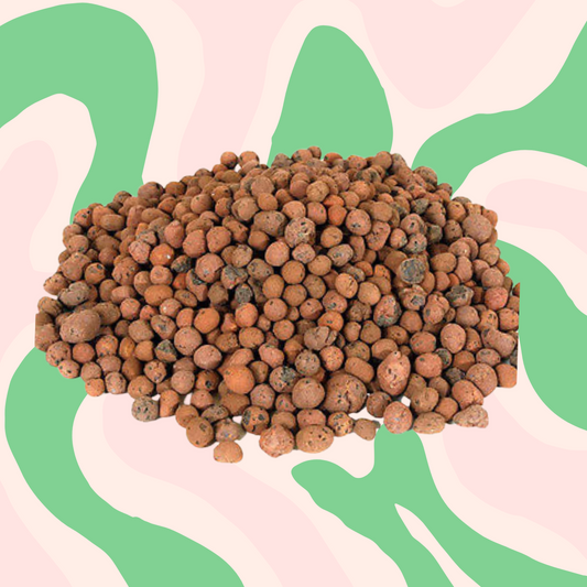 LECA Clay Balls