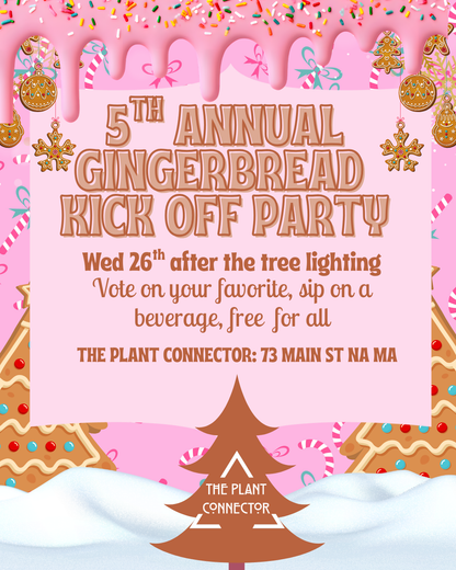 Ginger Bread Competition