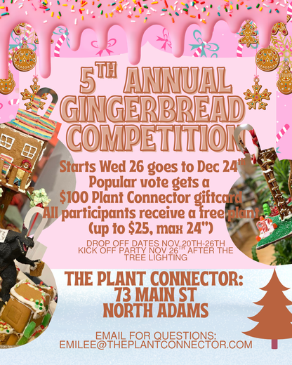 Ginger Bread Competition