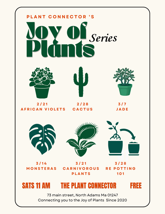 Joy of House Plants Series: Free