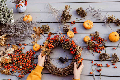 Air Plant + dried Flower Wreaths