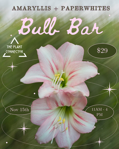 Holiday Bulb Bar: Plant a Little Holiday Magic!