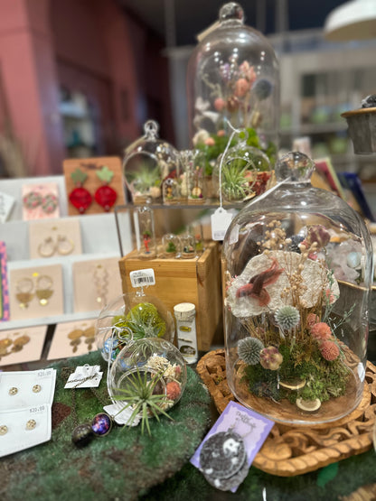 Bell Jar terrariums: Dried Flowers
