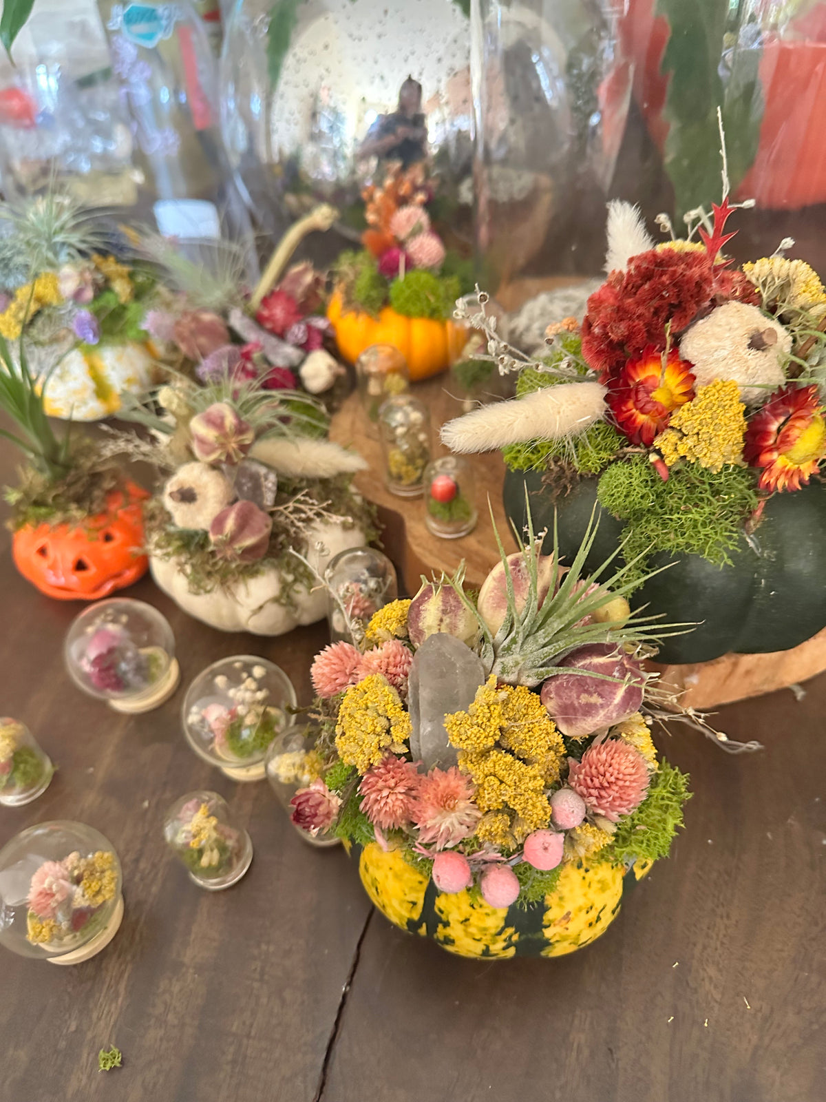 Air Plant Pumpkin Decorating