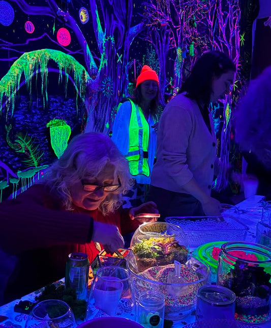 Spooky Cemeterriums Air Plant Terrarium Experience