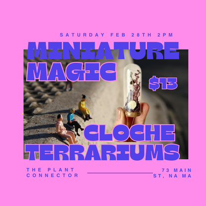 Miniature Magic Terrariums Makers Station