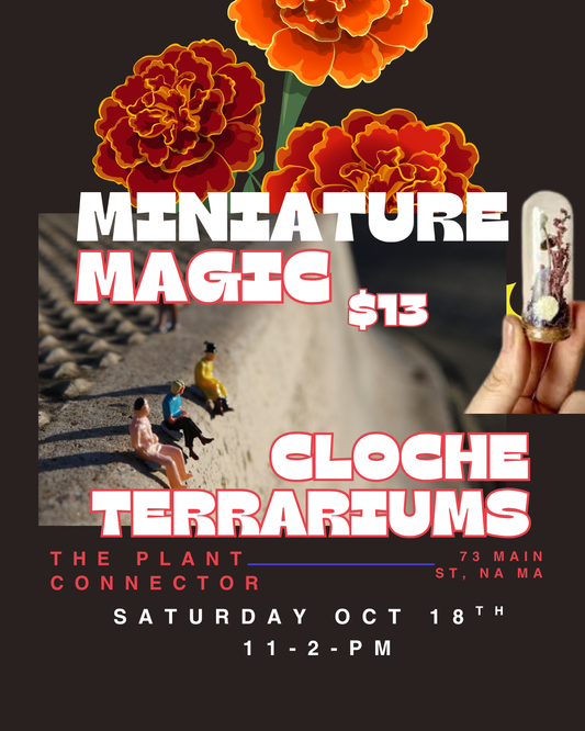 Miniature Makers Station: Terrariums and mini wreaths!