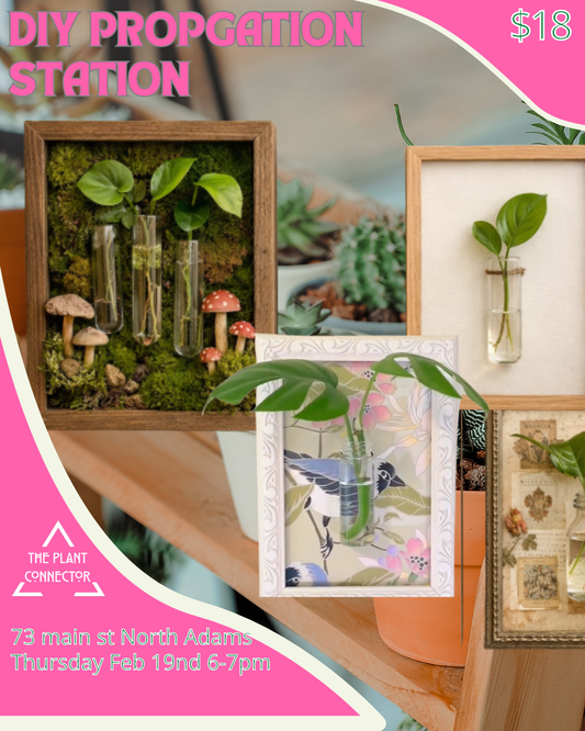Propagation Station Workshop
