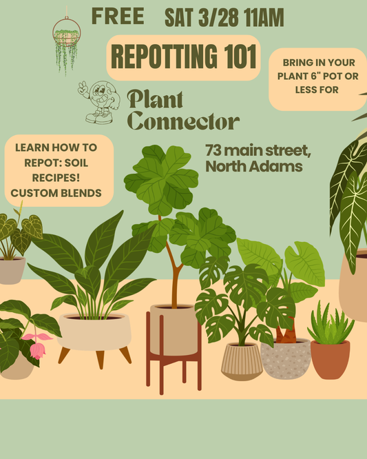 Free Repotting Workshop