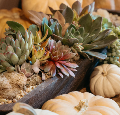 Holiday Centerpiece Workshop