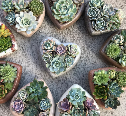 Heart-Shaped Concrete Planter – Light Gray