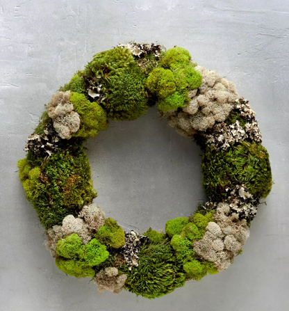 Air Plant + dried Flower Wreaths