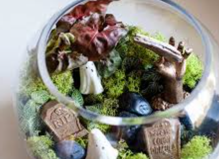 Spooky Cemeterriums Air Plant Terrarium Experience