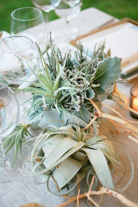 Holiday Centerpiece Workshop