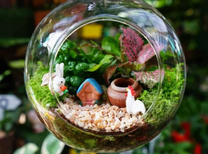 Winter Break with The Plant Connector Kids events