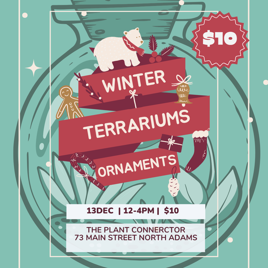 Dec 13th Winter Terrarium ornaments