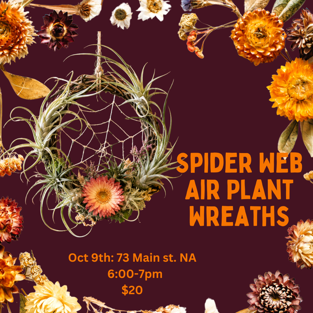 Air Plant Spider Web Wreaths