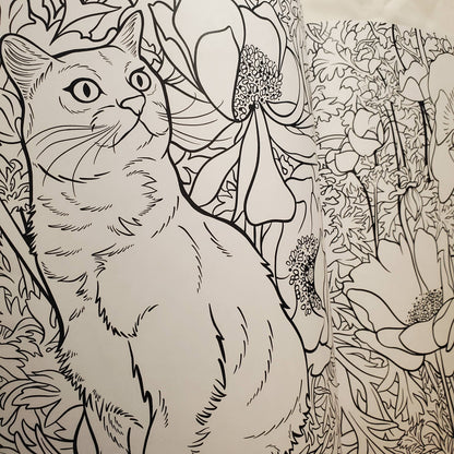 Coloring Book: "Cats & Plants"