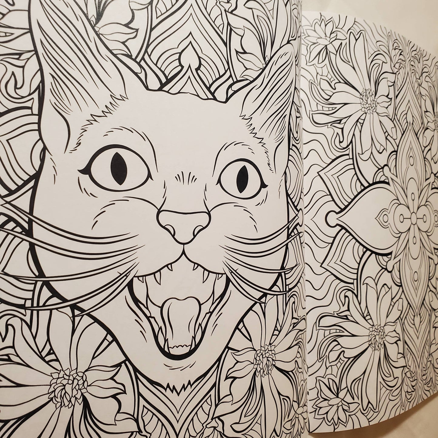 Coloring Book: "Cats & Plants"