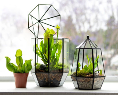 Glass Terrarium/ DIY Glass Terrarium Kit – Build Your Own Miniature Garden