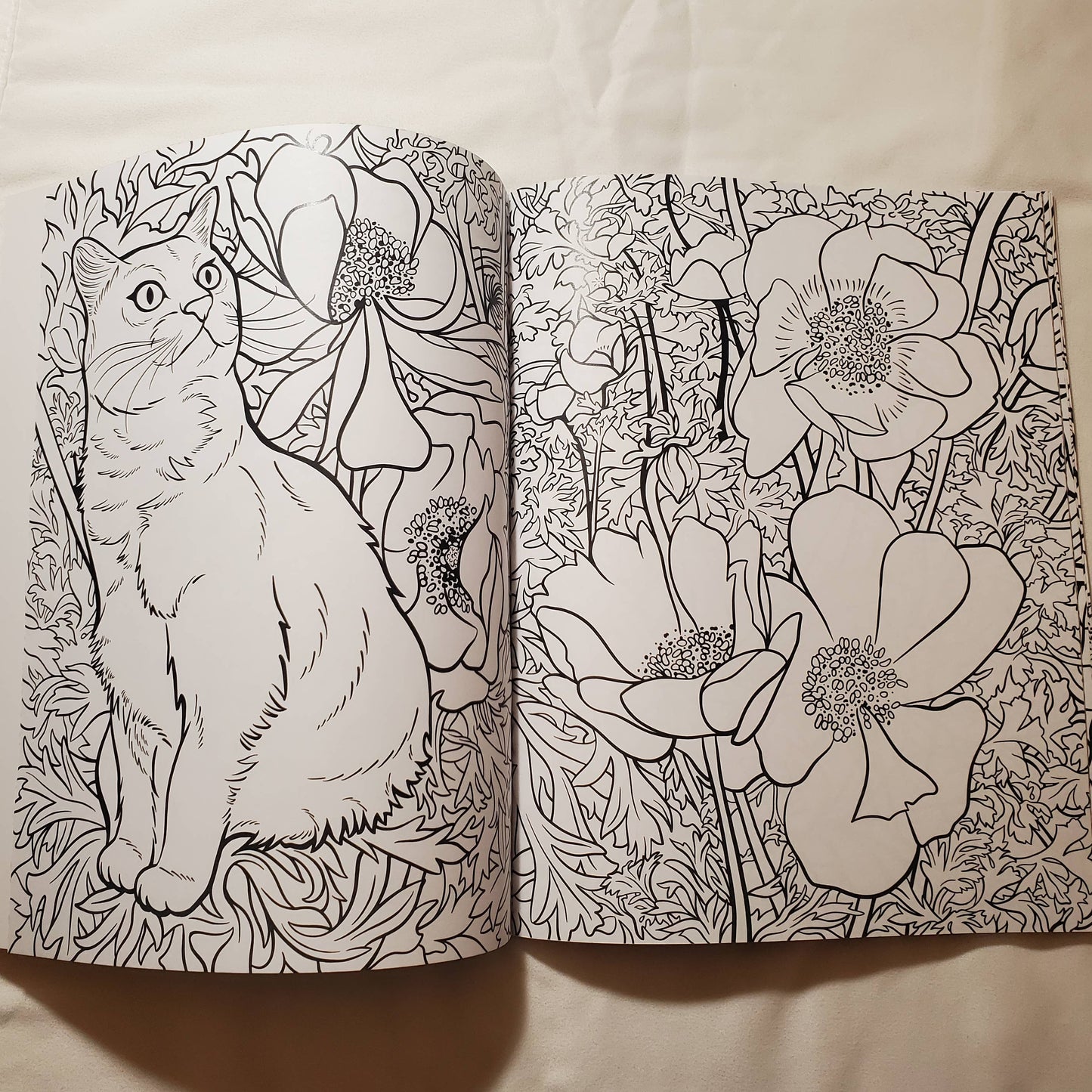 Coloring Book: "Cats & Plants"