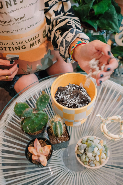 Organic Cactus & Succulent Potting Soil Mix