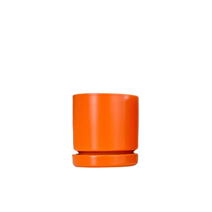 4.5" Citrus Collection Cylinder Pots with Water Saucers
