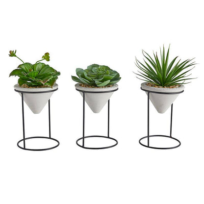Plants with Iron stand -