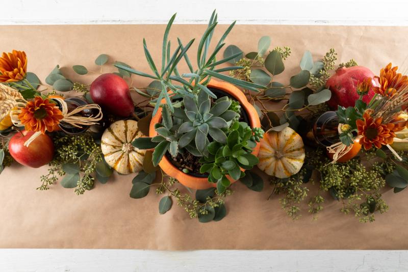 Succulent + Air Plant Pumpkin Decorating Bar
