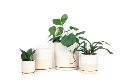 6.5" Gemstone Cylinder Pots with Water Saucers