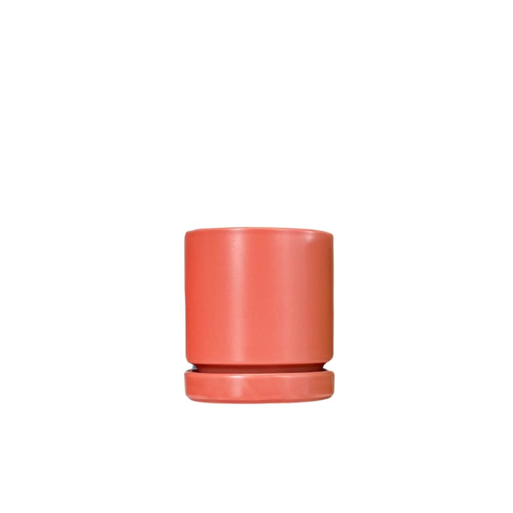 4.5" Citrus Collection Cylinder Pots with Water Saucers