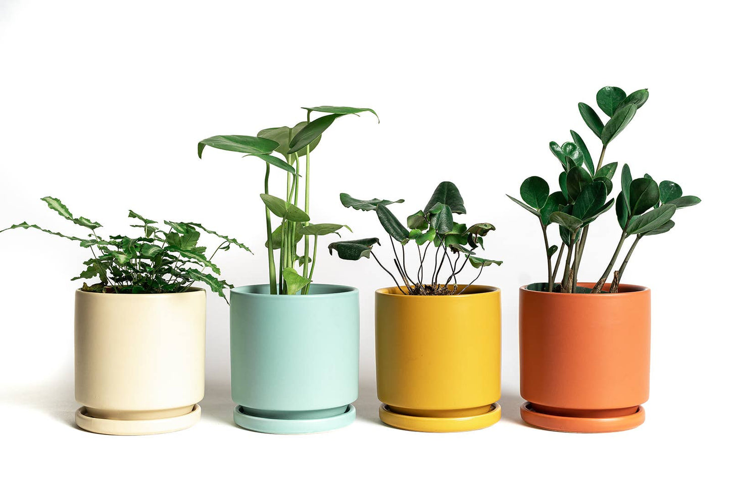 6.5" Gemstone Cylinder Pots with Water Saucers