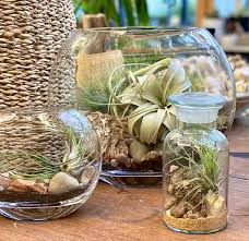 Glass Terrarium/ DIY Glass Terrarium Kit – Build Your Own Miniature Garden