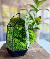 Glass Terrarium/ DIY Glass Terrarium Kit – Build Your Own Miniature Garden